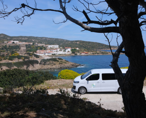 Visit Asinara - Escursione in Minibus a Cala Reale