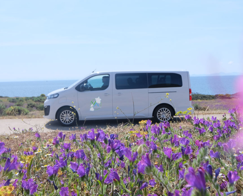 Visit Asinara - Minibus elettrico