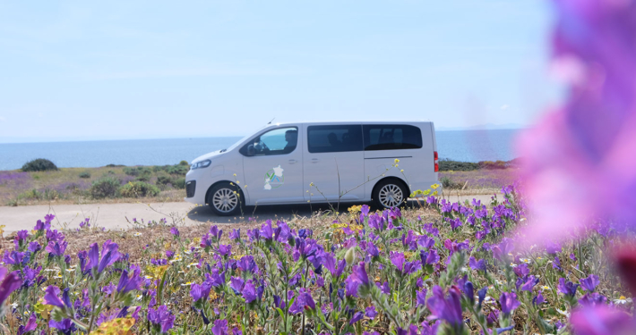 Visit Asinara - Minibus elettrico